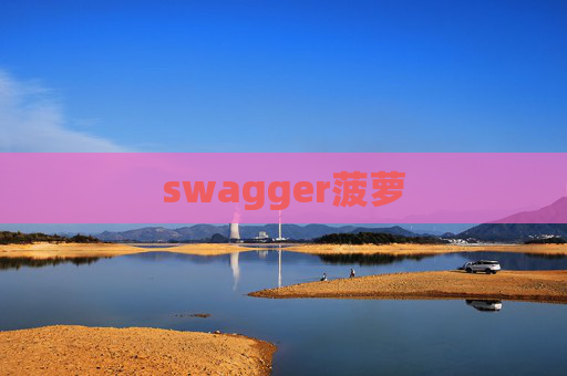 swagger菠萝